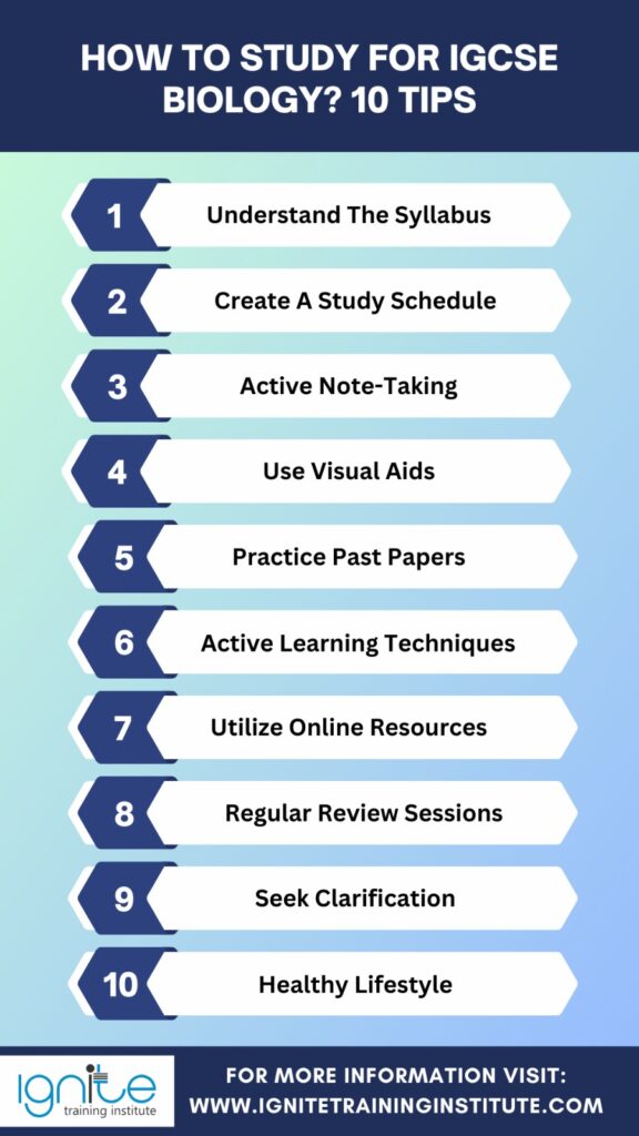 How To Study For IGCSE Biology? 