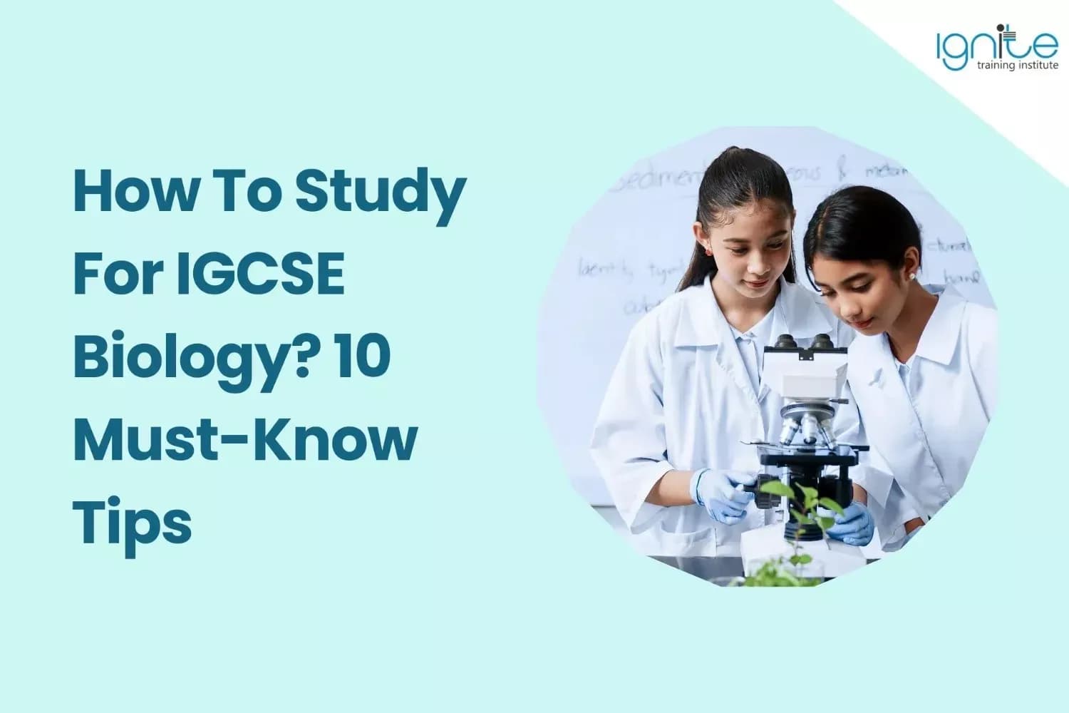 How To Study For IGCSE Biology? 10 Must-Know Tips