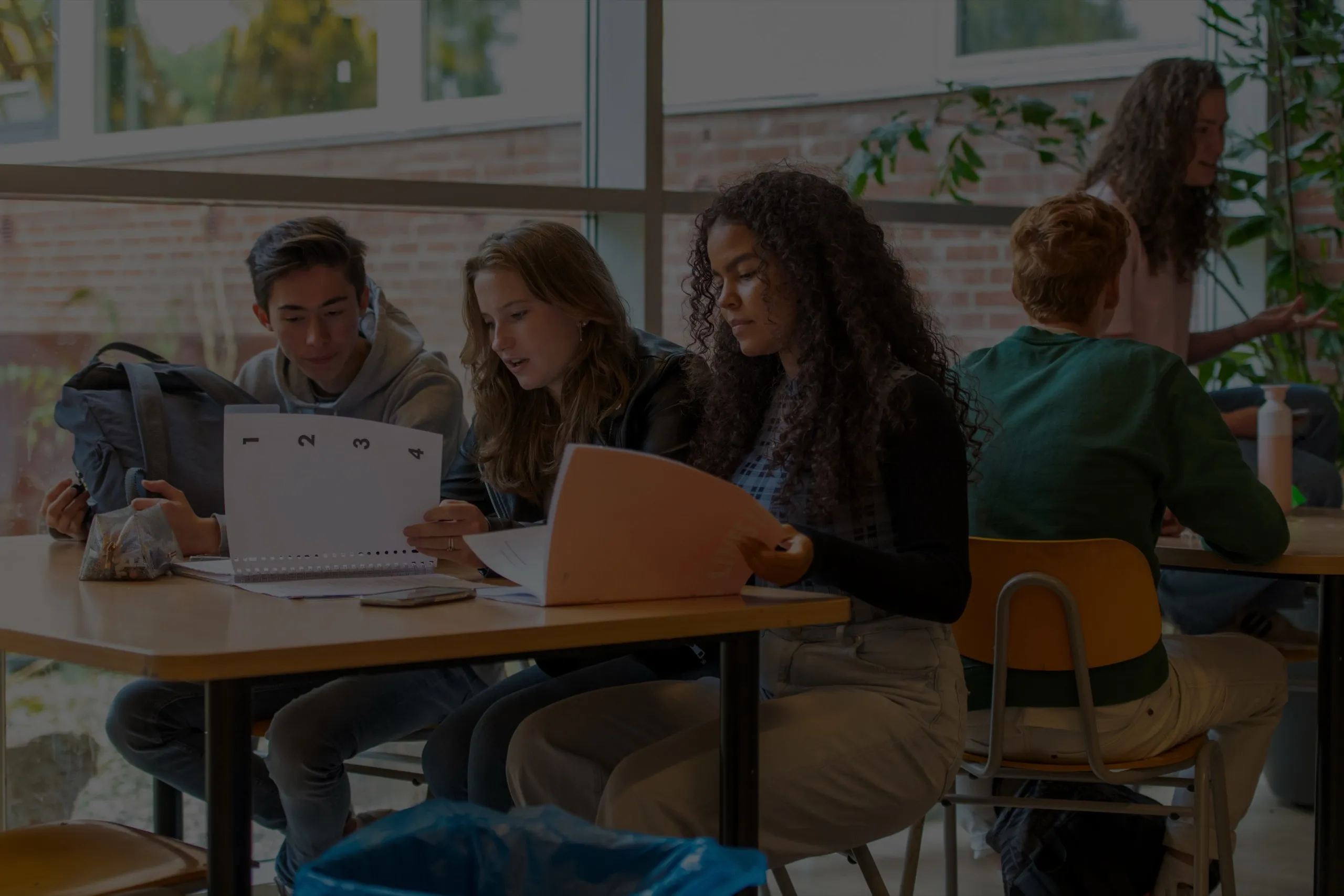 IB Curriculum Tutors