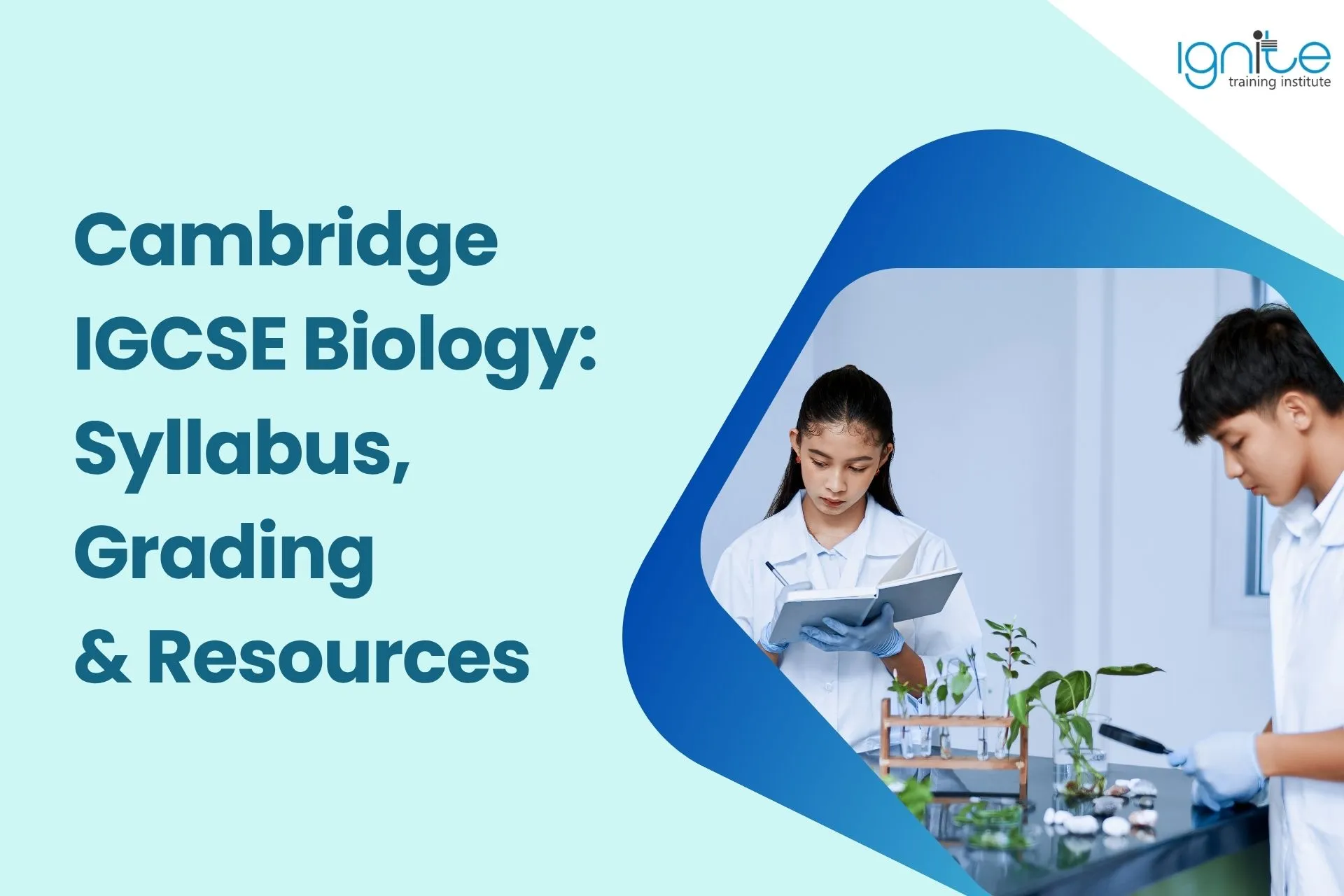 Cambridge IGCSE Biology: Syllabus, Grading & Resources
