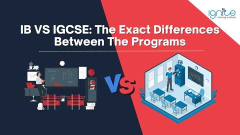 IB VS IGCSE: The Exact Differences Between The Programs